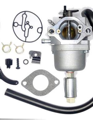 Carburador Compatible Motor Briggs Stratton 799727 698620